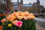 The best Amsterdam Museums for kids they’ll love