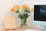 How Your Work Environment Shapes Focus, Energy, and Mental Health