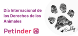 Día Internacional de los Derechos de los Animales ⚖️