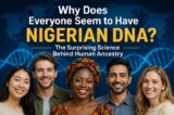 Why Does Everyone Seem to Have Nigerian DNA? The Fascinating Truth Behind Human Ancestry