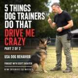 5 Dog Trainer Mistakes That Drive Me Crazy | USA Dog Behavior