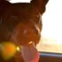 Wise Law’s Legal Headlines for the week of July 27, 2026