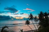 Drink Like You’re on Vacation (Even If You’re Not) – Shall We Wine