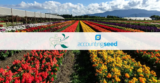 East Coast Nurseries: Real-Time Financials on Salesforce