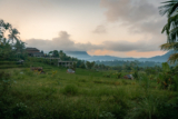 520+ Best Bali Quotes and Best Bali Captions for Instagram