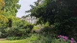 The Boutique Eccleston Square Hotel in London