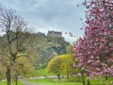 Where to Stay in Edinburgh: The Best Neighborhoods for Every Type of Traveler