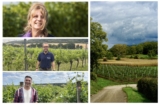 The sparkling wines of Hampshire – Around the World in 80 Harvests