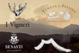 four volcanic winemakers (part 2) ~ Wine And Other Stories