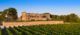 The Italian Red Wine That Is Capable Of Making Various Great Styles
