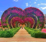 POETRY: Friday Line 52: WHERE LOVE ABOUNDS!