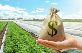 Farm Income Outlook Shows Higher Payments, Rising Expenses in 2026 Farm Income Outlook Shows 2026 Challenges