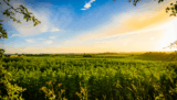 A Quick Saturday Morning Prayer to Make You More Grateful