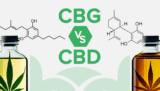 CBG vs CBD: What’s the Difference?