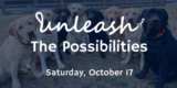 Unleash the Possibilities! – Hero Dogs