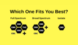 Which One Fits You Best?