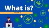 Delta 8 – GreenWellnessLife.com