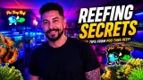 Inside Poo Tang Reefs: High-Density Micro-Aquaculture, Automated Precision, and Commercial-Grade Standards | Reef Builders