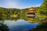 What’s it Like in Japan? 31 Travel Tips for 2026