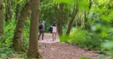 From nature walks to neural networks: My journey in Applied AI at Cranfield