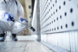 Professional Flea Treatment Methods – Greencare Pest Control & Cleaning