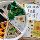 Exploring Nature with Children in September Resources