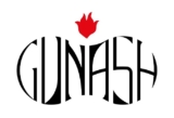 GUNASH Shares New Single Off ‘All You Can Hit’ Album ⋆ Riff Relevant