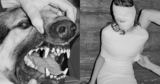 Kristina Rozhkova’s scatty, confronting portrait of captivity