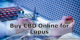 Buy Cannabis Oil Online and Treat Lupus Symptoms – Cannabis Oil Durban