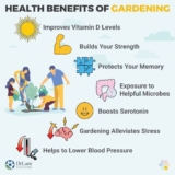 Health Benefits Of Working In The Garden