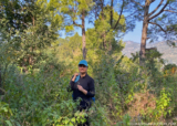 Workation In Sattal – Voyager For Life