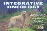 Integrative Dog Cancer Treatments for 2022