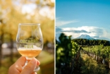 Hood River: Where the Wind Blows and the Beer Flows