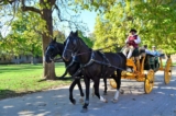 10+ Cool Things to Do in Williamsburg VA • Traveling with Purpose