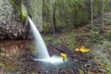 Complete Guide to Visiting Oregon’s Horsetail Falls & Ponytail Falls (2026)