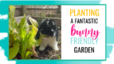 Feeding your bunnies better with a rabbit friendly garden