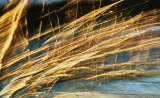 Hubert Endl: When the Camera Learns to Paint