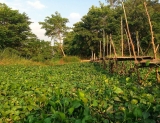 How To Book Your First Luxury Mekong River Cruise