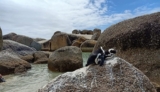 The Ultimate Day Trip From Cape Town – Curls en Route
