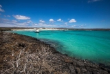 13 Galápagos Cruises That Are Totally Worth the Splurge