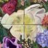 JUNE –  AND THOUGHTS ON WRITING A PICTURE BOOK. Penny Dolan