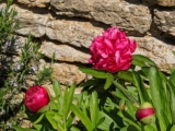 Time for Springing Into Action – Accountants | Tax & Business Advisers