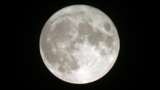 Is there a connection between bipolar disorder and the moon?