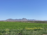 Rising economic and climate pressures drive regenerative practices, innovation, and collaboration | CalCAN