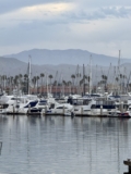 Harbor Cruise | bleuwater