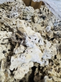 Fiji Pukani Rock Returns | Reef Builders