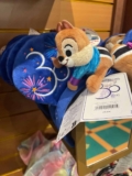 ULTIMATE Disneyland Paris Souvenirs Guide – Wandermust Family
