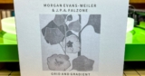 Morgan Evans-Weiler & J. P. A. Falzone