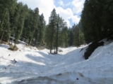 15 Best Places to Visit in India in December, 2025