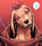 A Burning Dog — This Week’s Links